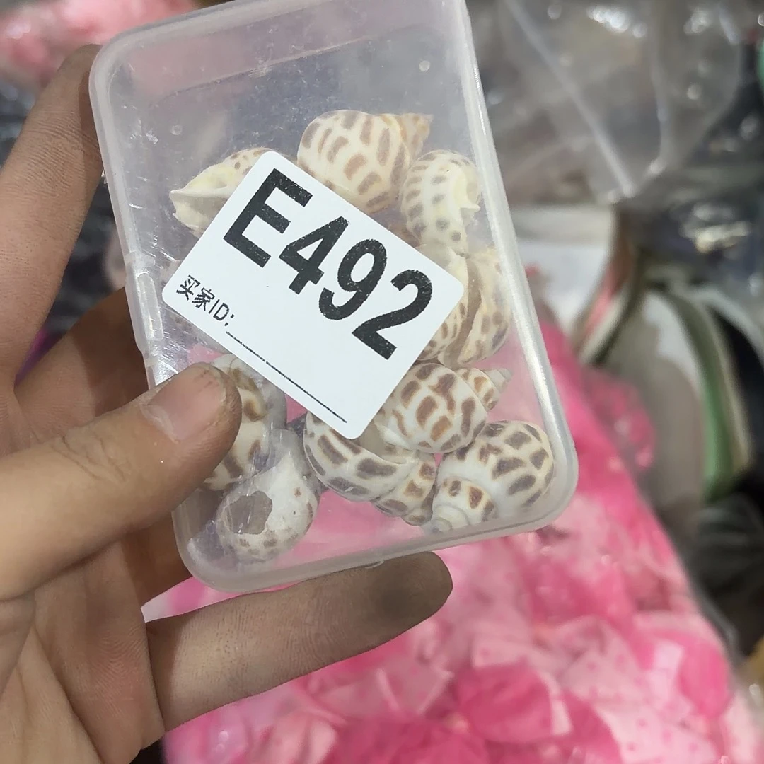 海***霞492包装设计制作工艺