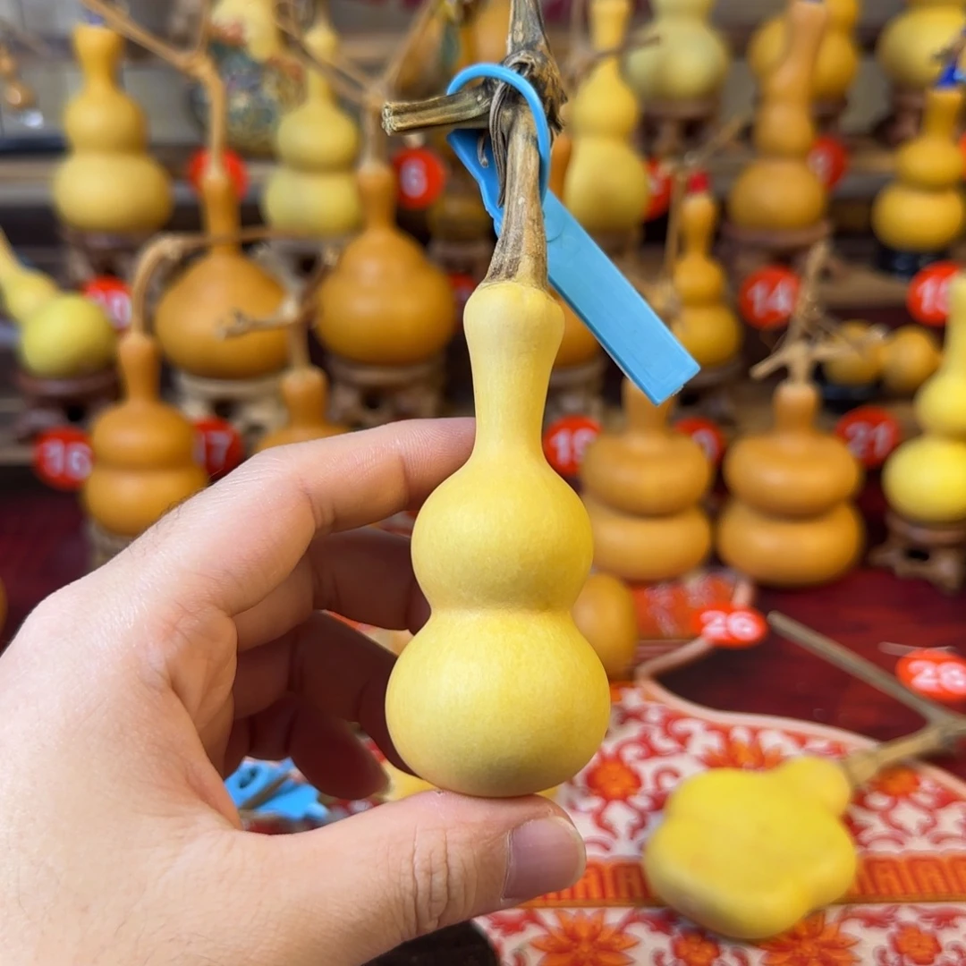 辰***°葫芦uffyvuuvjvvj