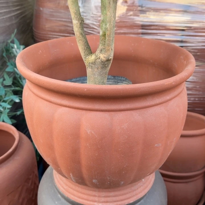 紫砂花盆口35高30宜兴紫砂