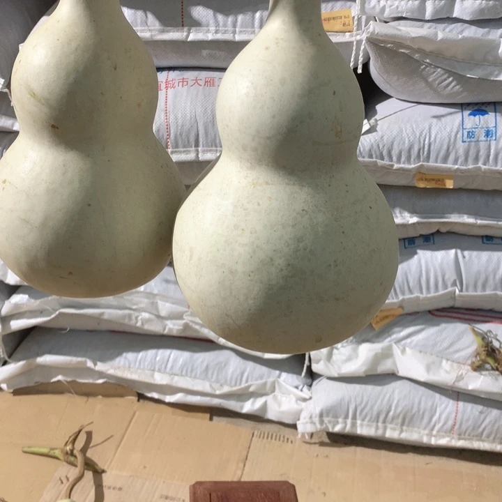 -***秋中号尺寸的尺寸大小尺寸