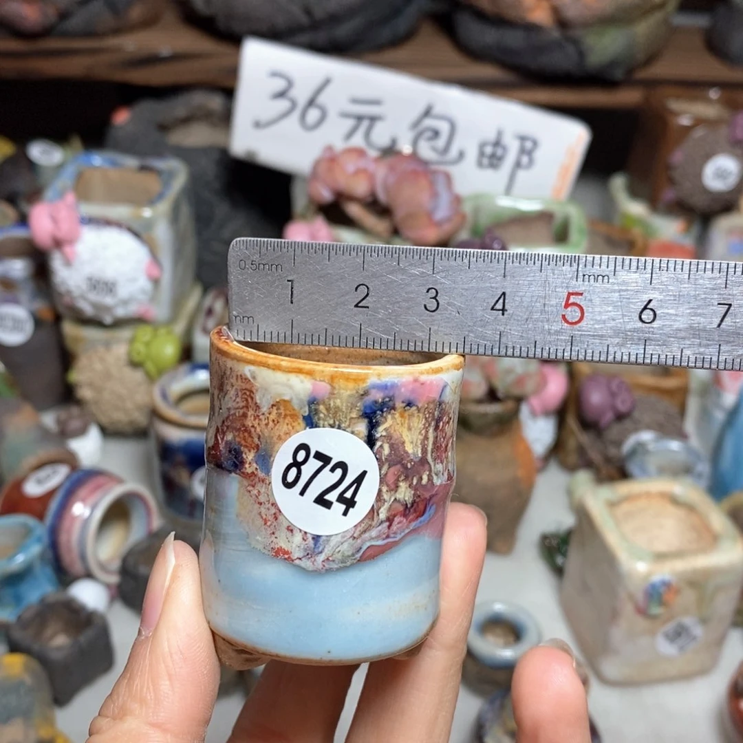 拍5送一个小礼物