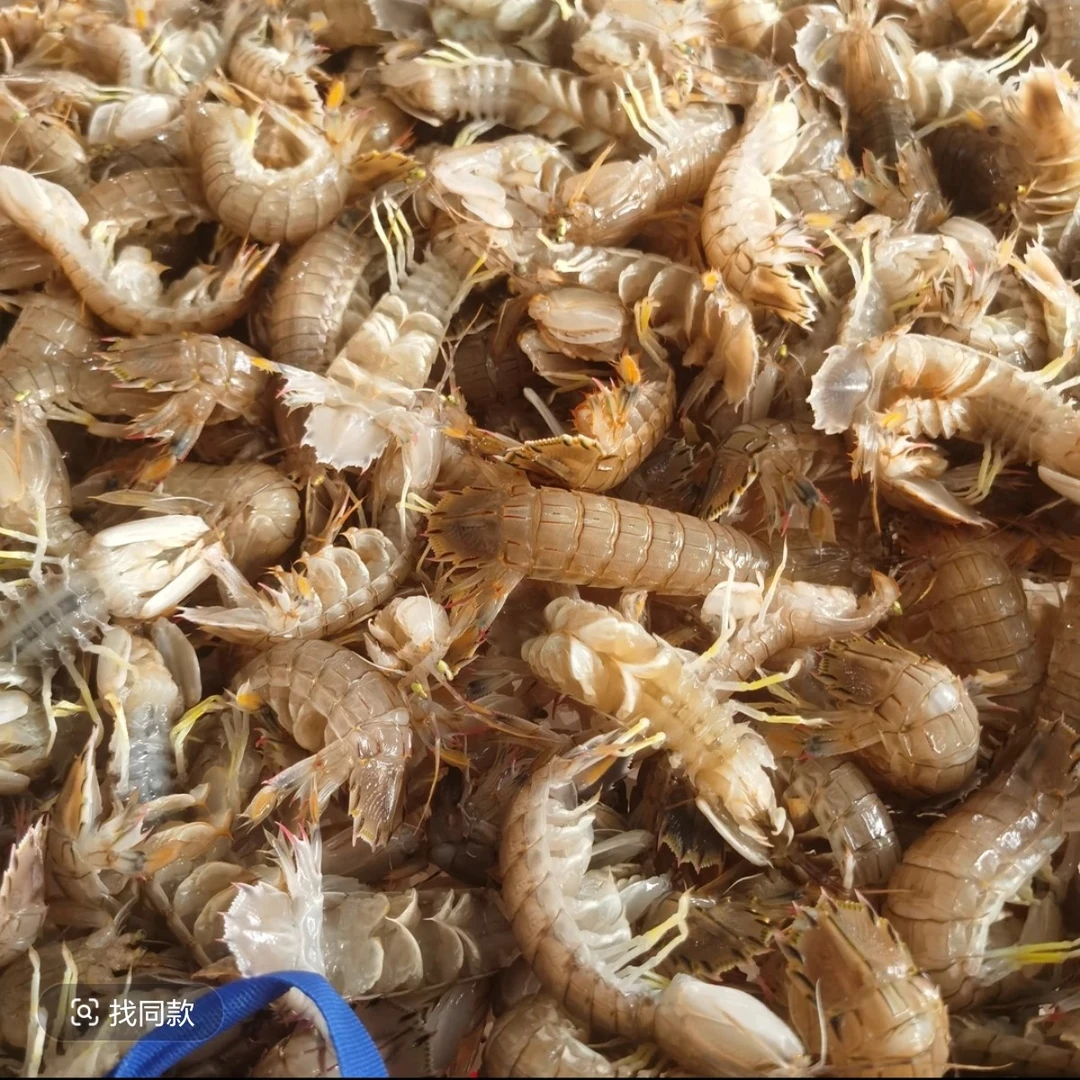 青岛琅琊本地小船虾虎  皮皮虾  顺丰冷链包邮  码头直发