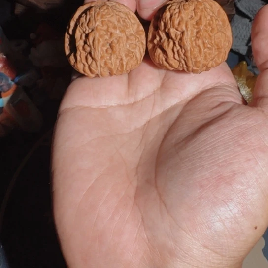 文玩核桃把件凹底