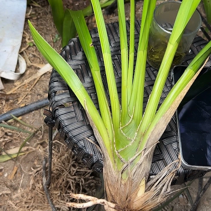 完全开放11111111111