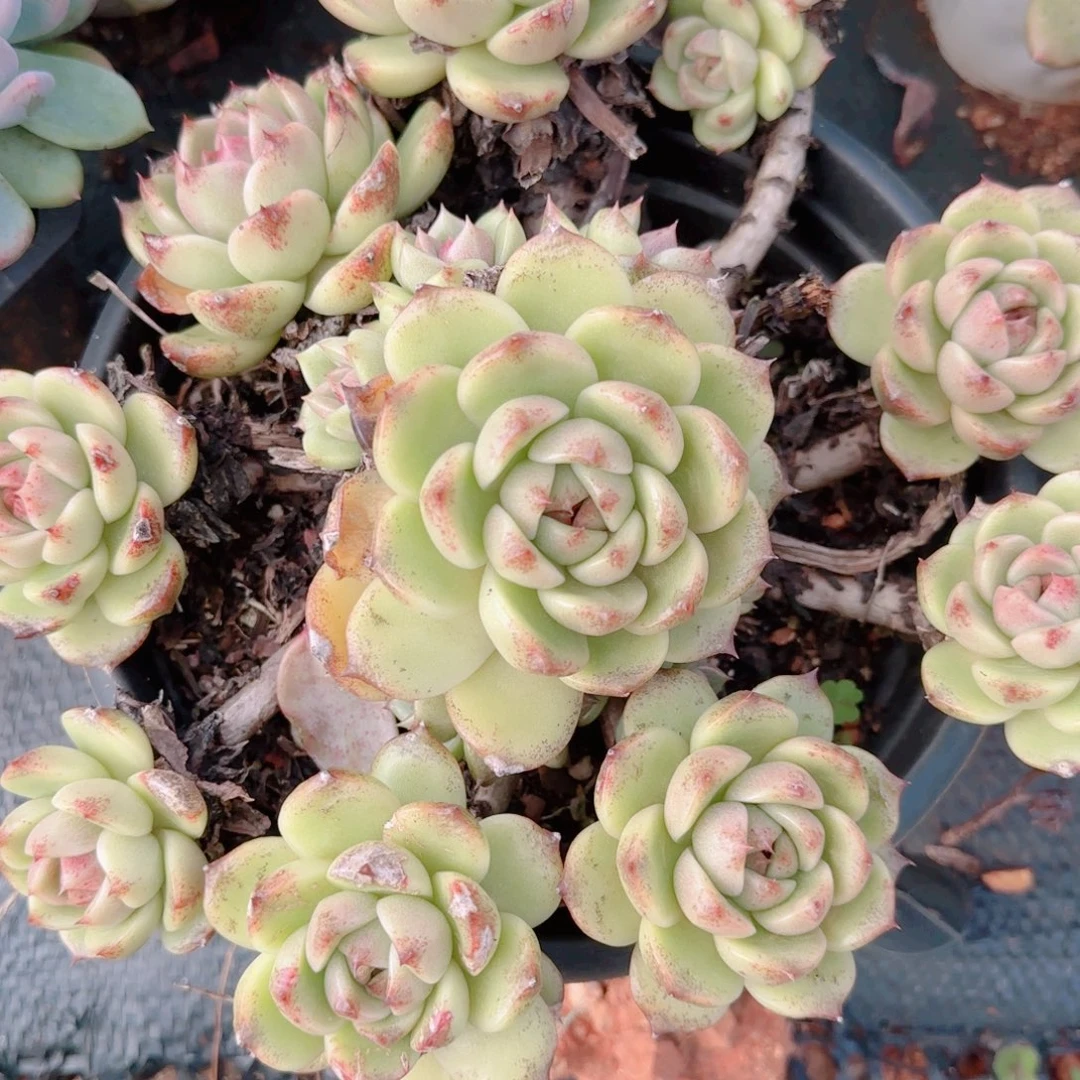 在干嘛你呢我的好宝我