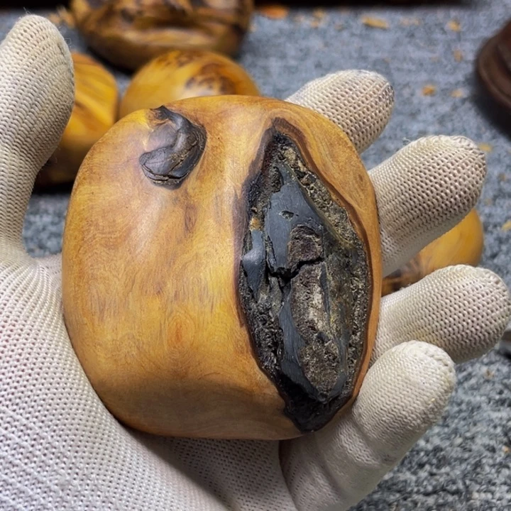 柏木（崖柏）崖柏79