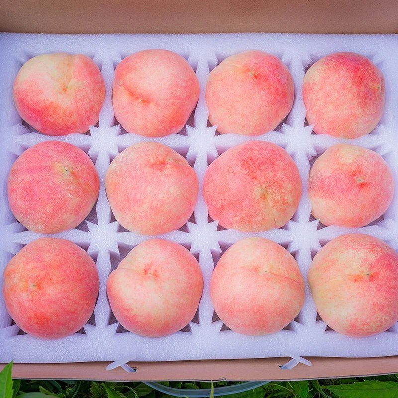 正宗湖景水蜜桃新鲜现采当季水果香甜爆汁软毛桃 大果12枚