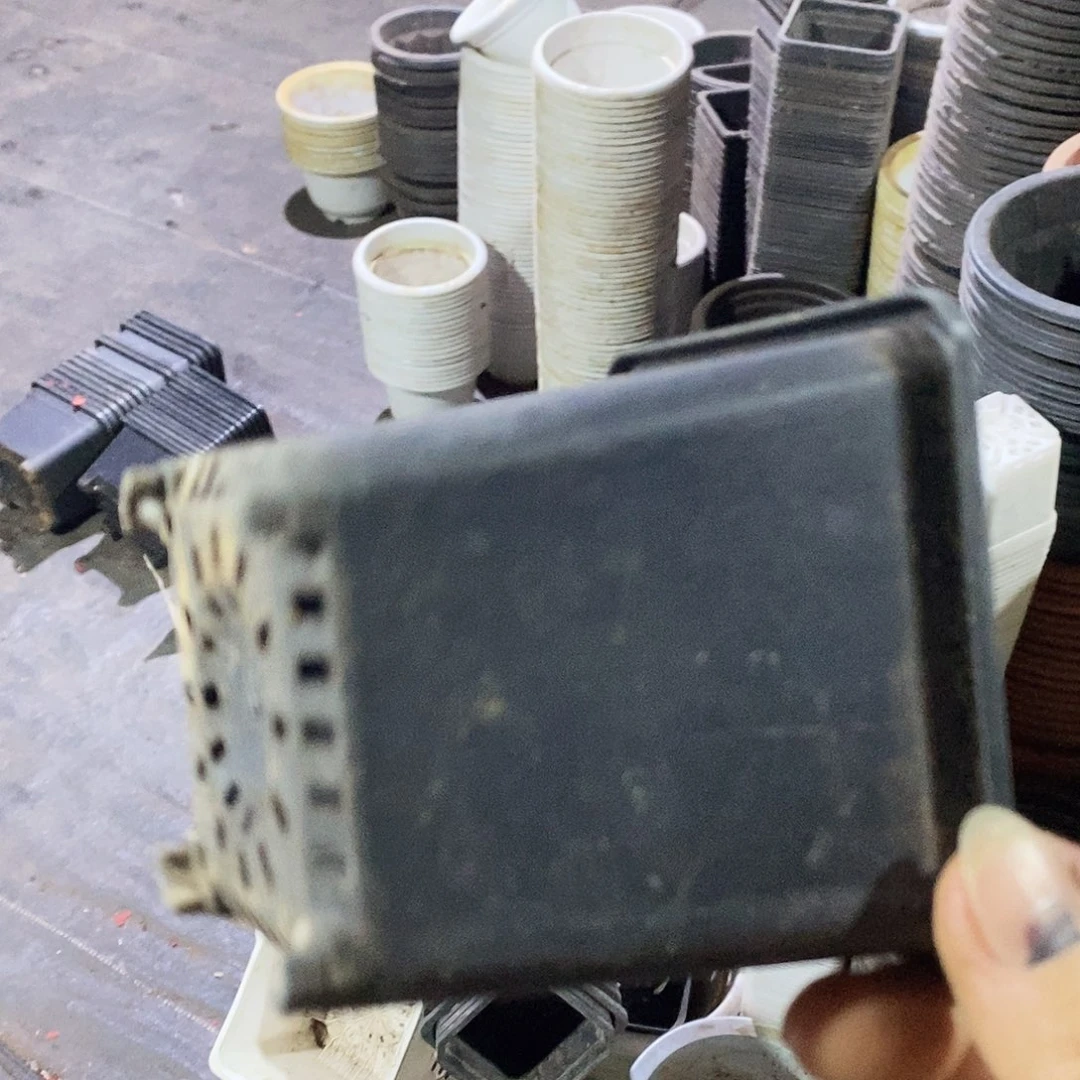 塑料旧9公分黑方盆加厚 50 个