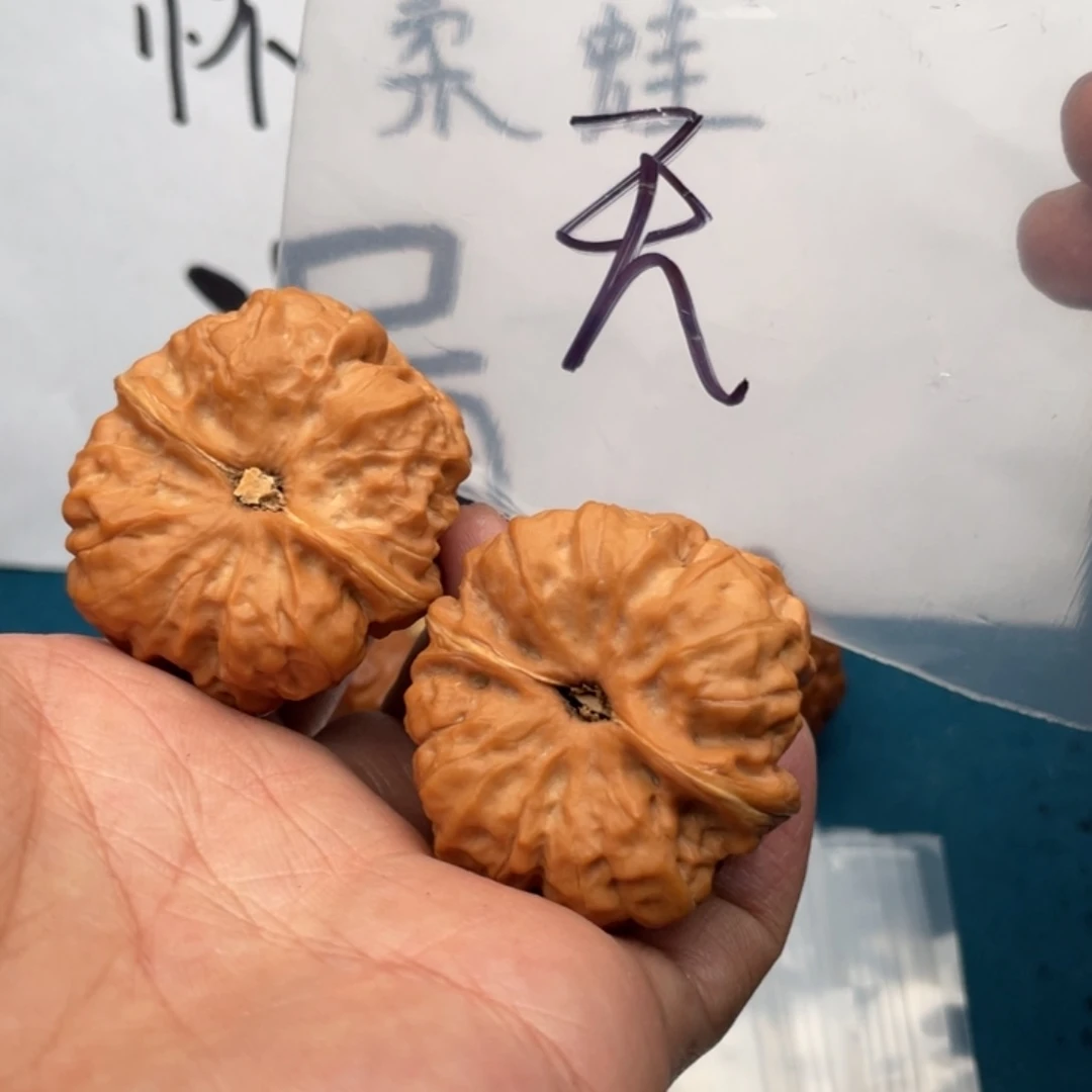 核桃手串/手链W468846846846846