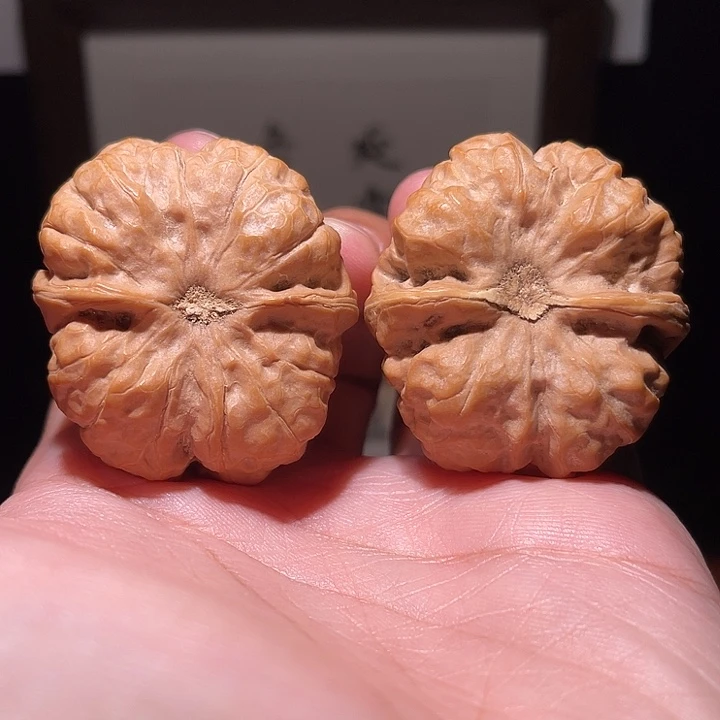 颤***巍核桃把件蛤蟆头