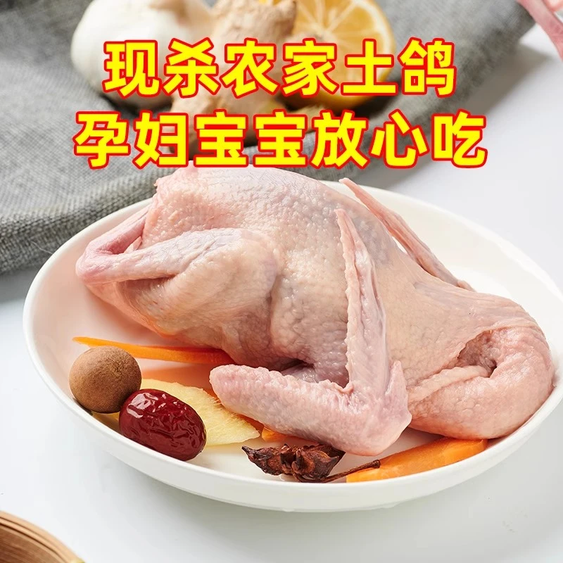 益锦鲜鸽子现杀冷冻新鲜 乳鸽生鲜土鸽子整只 鸽子肉鸽子炖汤
