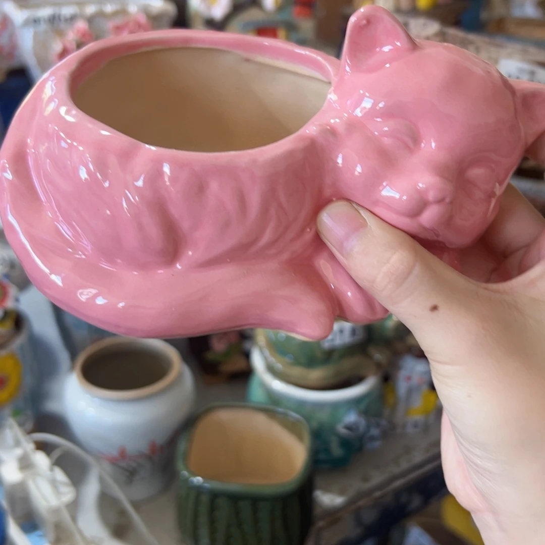 福利拍满18.8米包邮发货