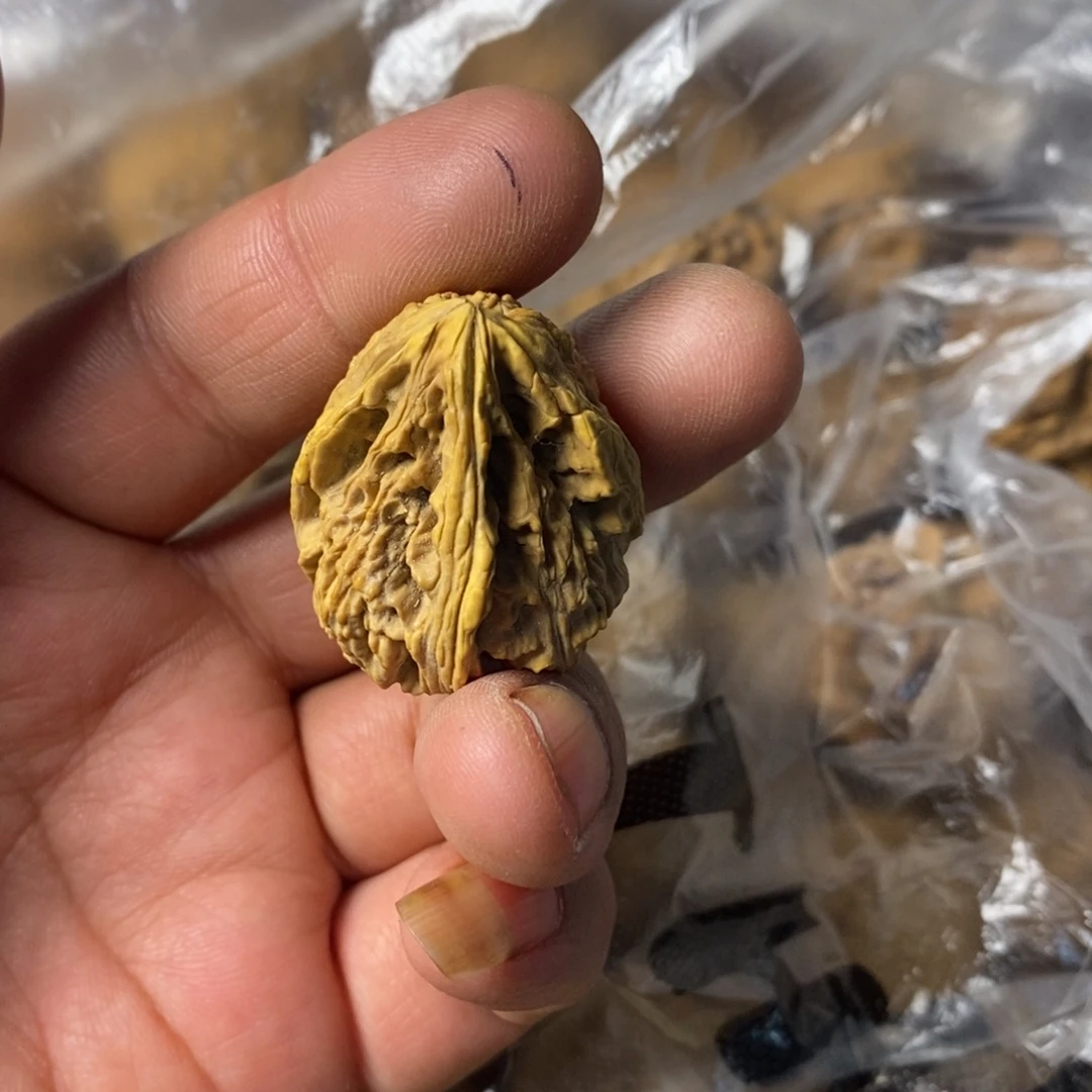 无***眠大叶紫檀（黑酸枝木类）
