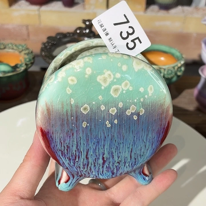 花盆花盆花盆花盆