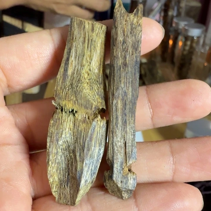 树心油树心油树心油