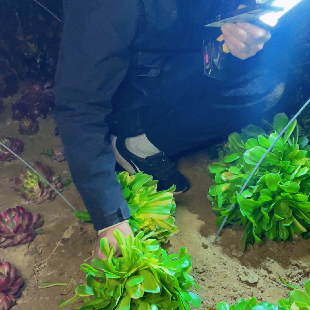 五彩琉璃满20包邮