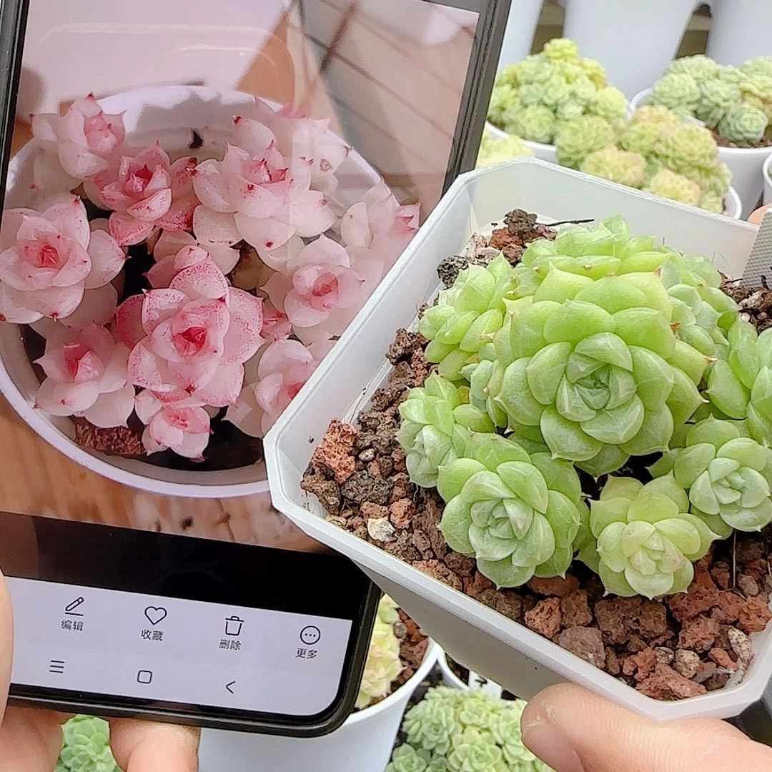 1031-45（m1-377）优选