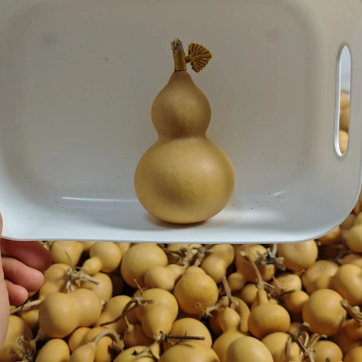 广***店葫芦葫芦带叶精品葫芦