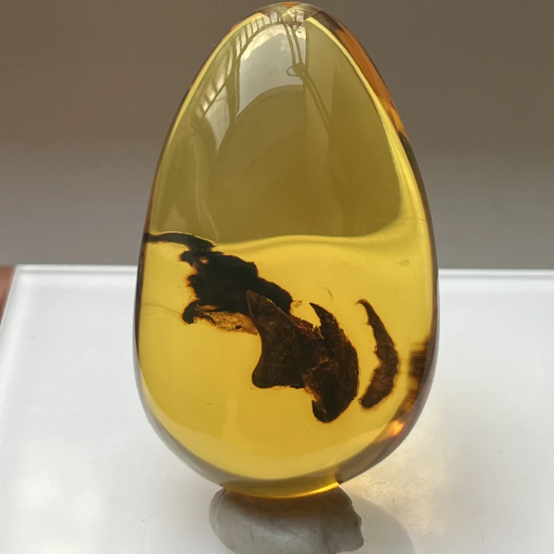 【凯馨珠宝】缅甸天然植物珀吊坠