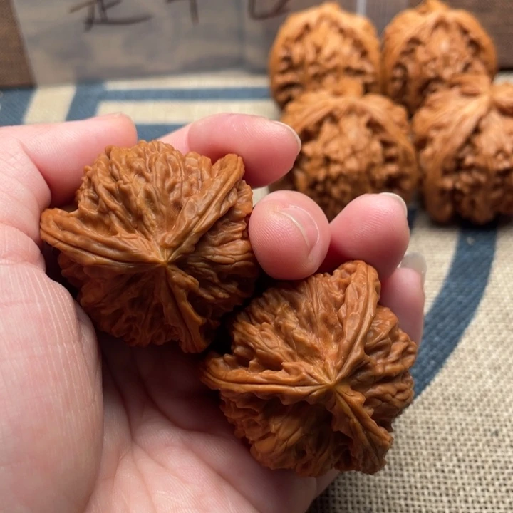 飞***翔核桃白狮子40核桃