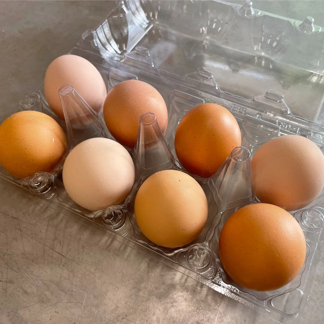 初生蛋三盒装（24枚约2斤）