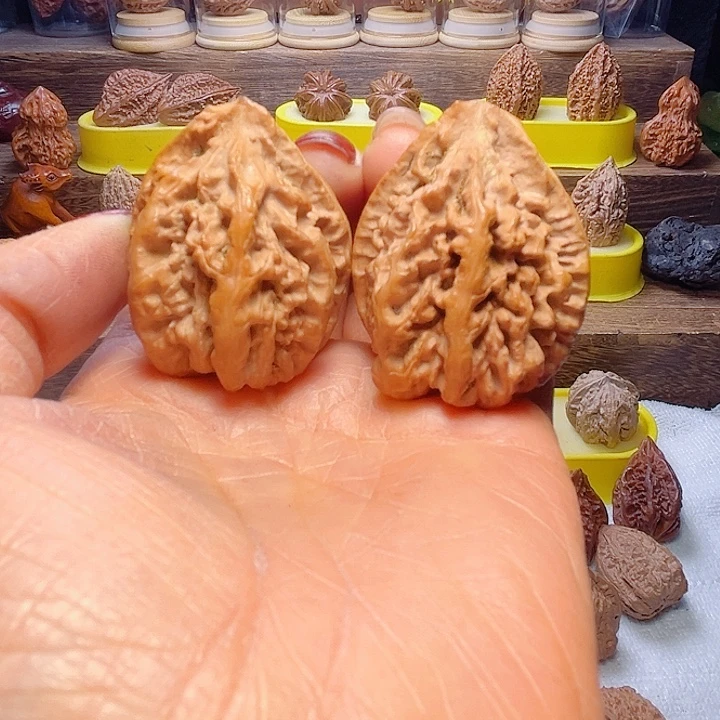 核桃25号车放漏漏漏