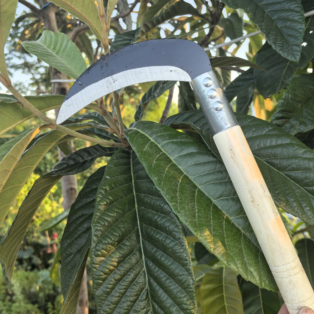 农用锰钢镰刀割草修枝砍柴两用多功能收割柴刀