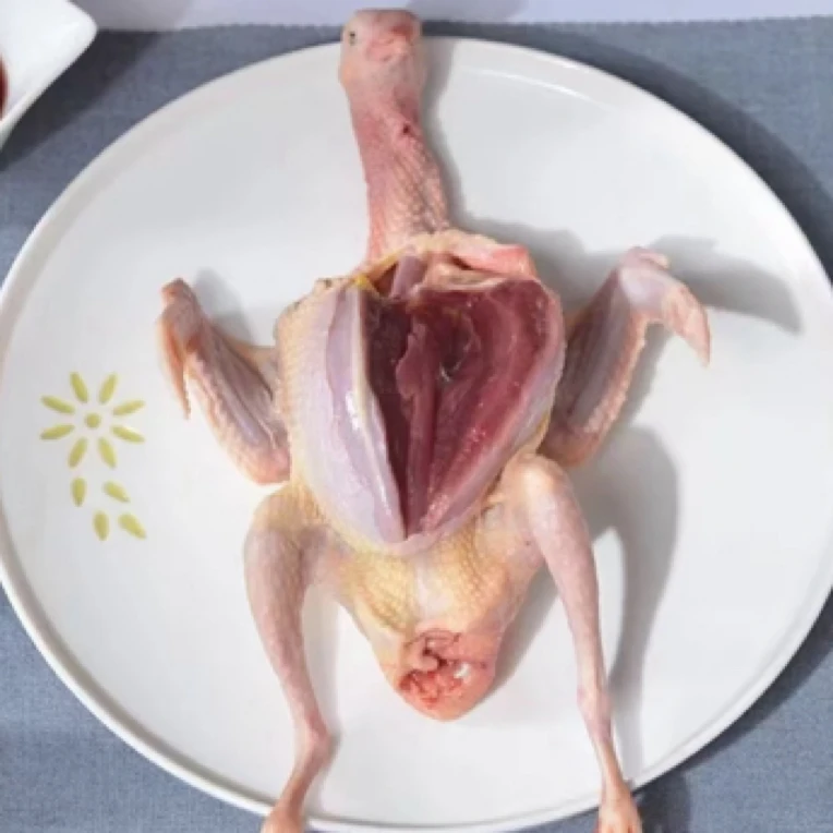 农家散养新鲜鸽了