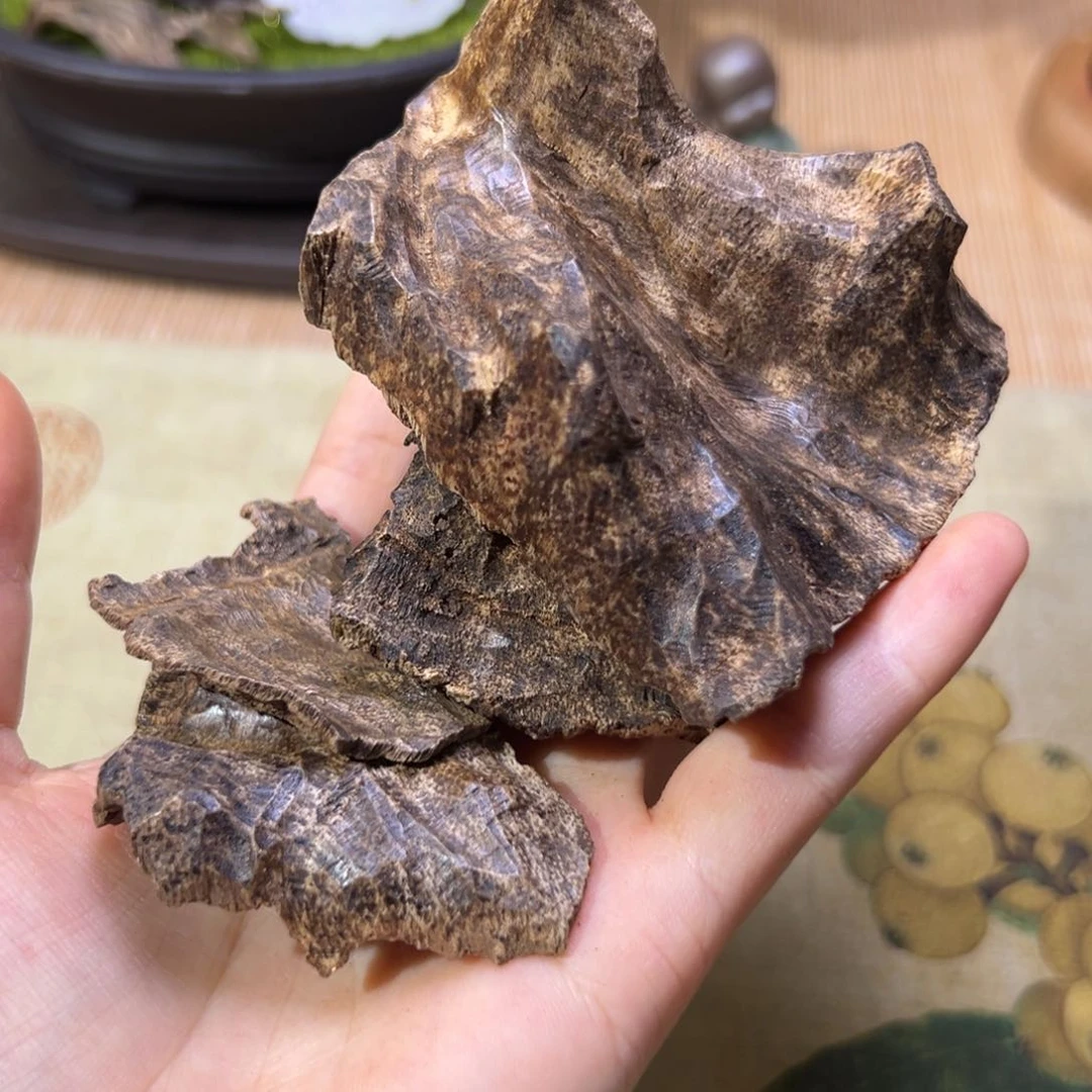 【闪购商品】香榧木海南木料保亭老包壳26克