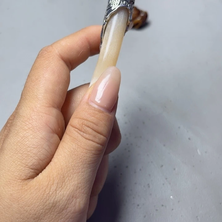 大果紫檀（缅甸花梨）