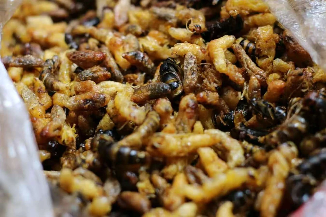 （半斤装）1234级树峰  油炸蜂蛹  3级带内脏介意勿拍