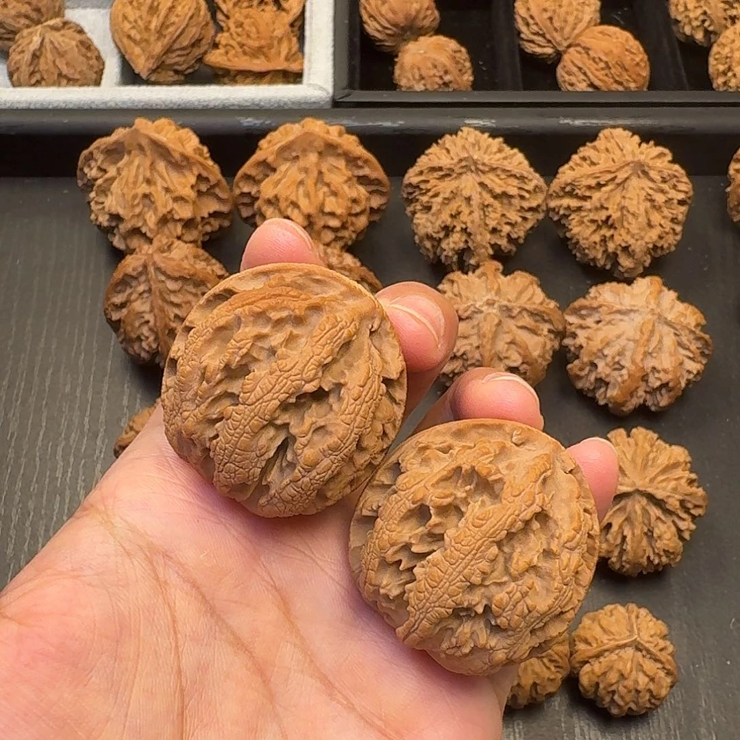 核桃突突突突突突突突突突突