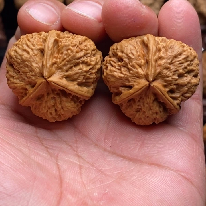 把件文玩核桃3花冠三棱
