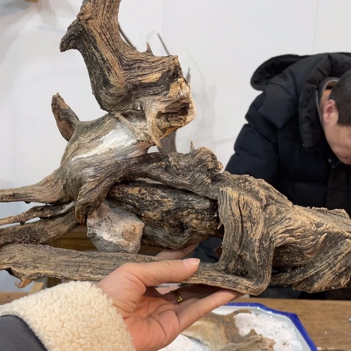 少****）我们都是好孩子呀