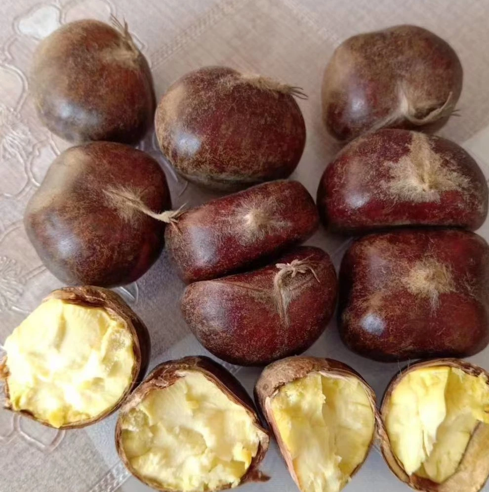 迁西县高山新鲜生板栗3113主产矿区自产自销