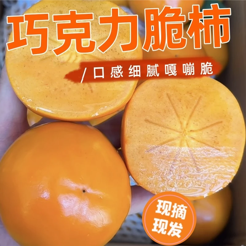 【顺丰包邮】2025年新鲜采摘脆甜多汁阳丰巧克力脆柿应季水果园直发