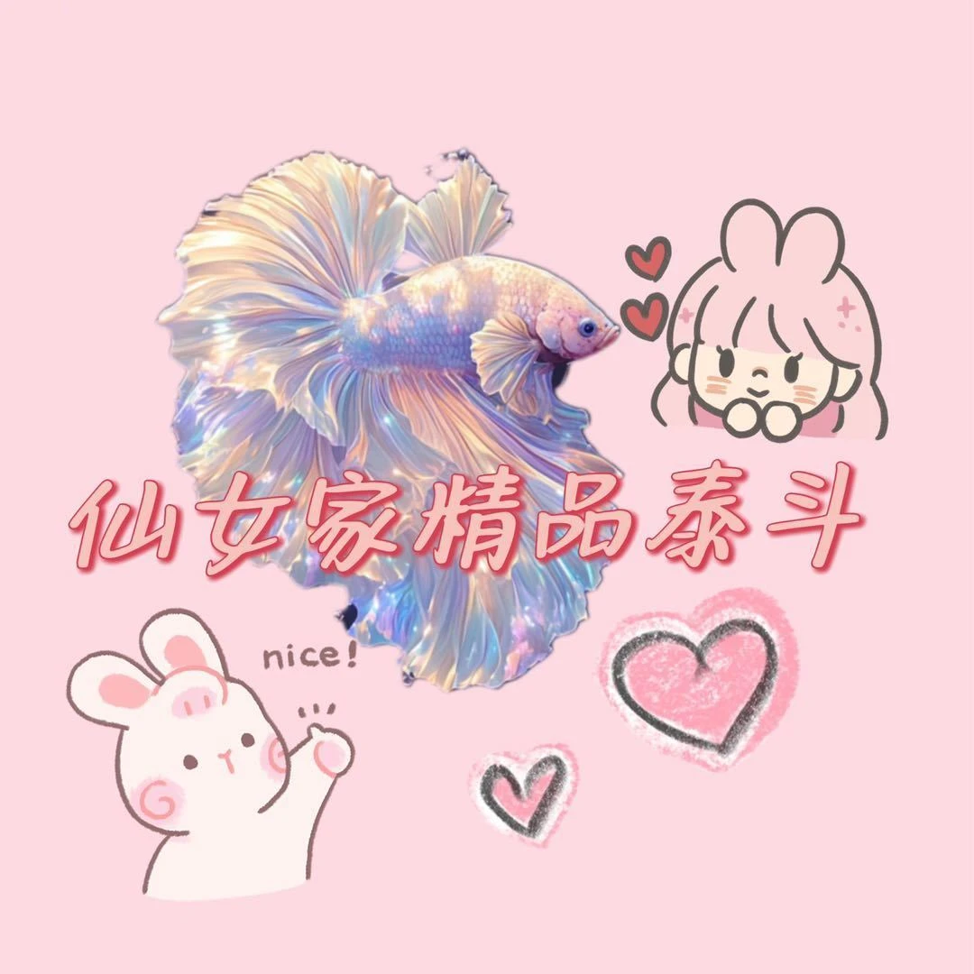 D01-D120直播间选鱼斗鱼泰国印尼一号一拍精品