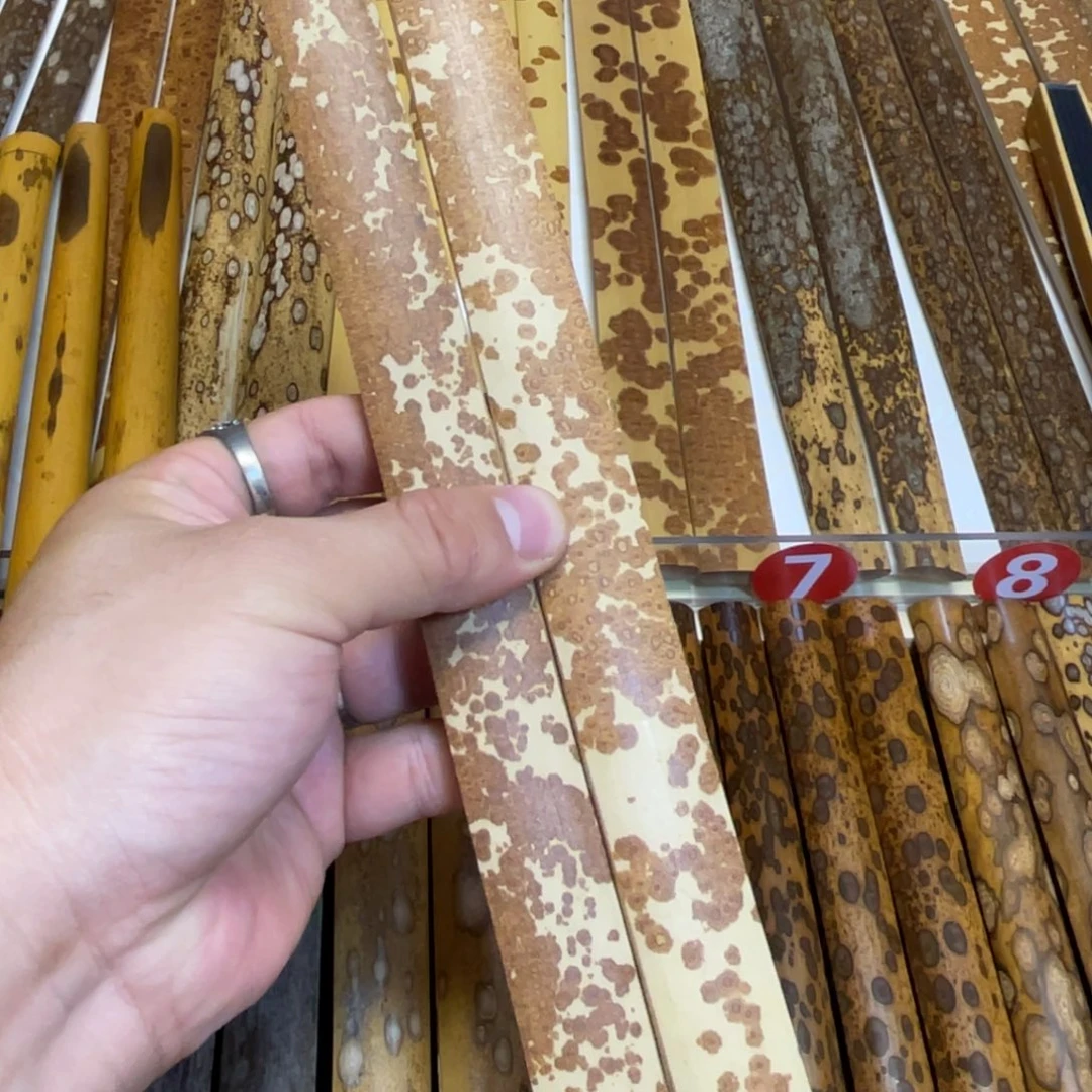 扇子云飞 足尺 云飞云飞