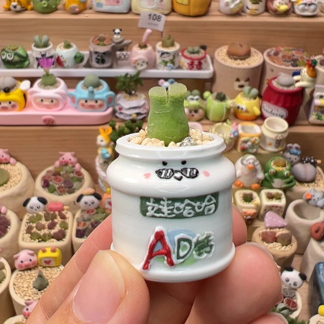 多肉植物120号小奶瓶