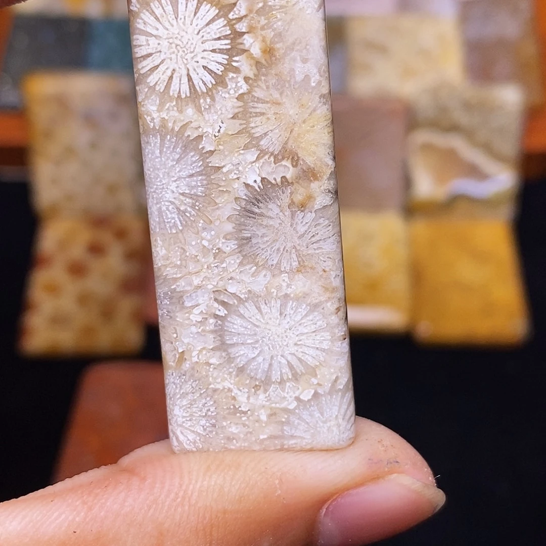 慈***心硅化玉合金珊瑚玉