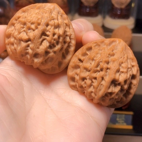 精品：平谷大金牛