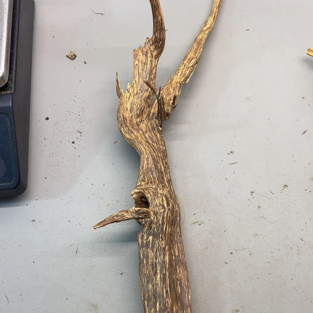 曦***沉香沉香碎屑海南红土原材料47克