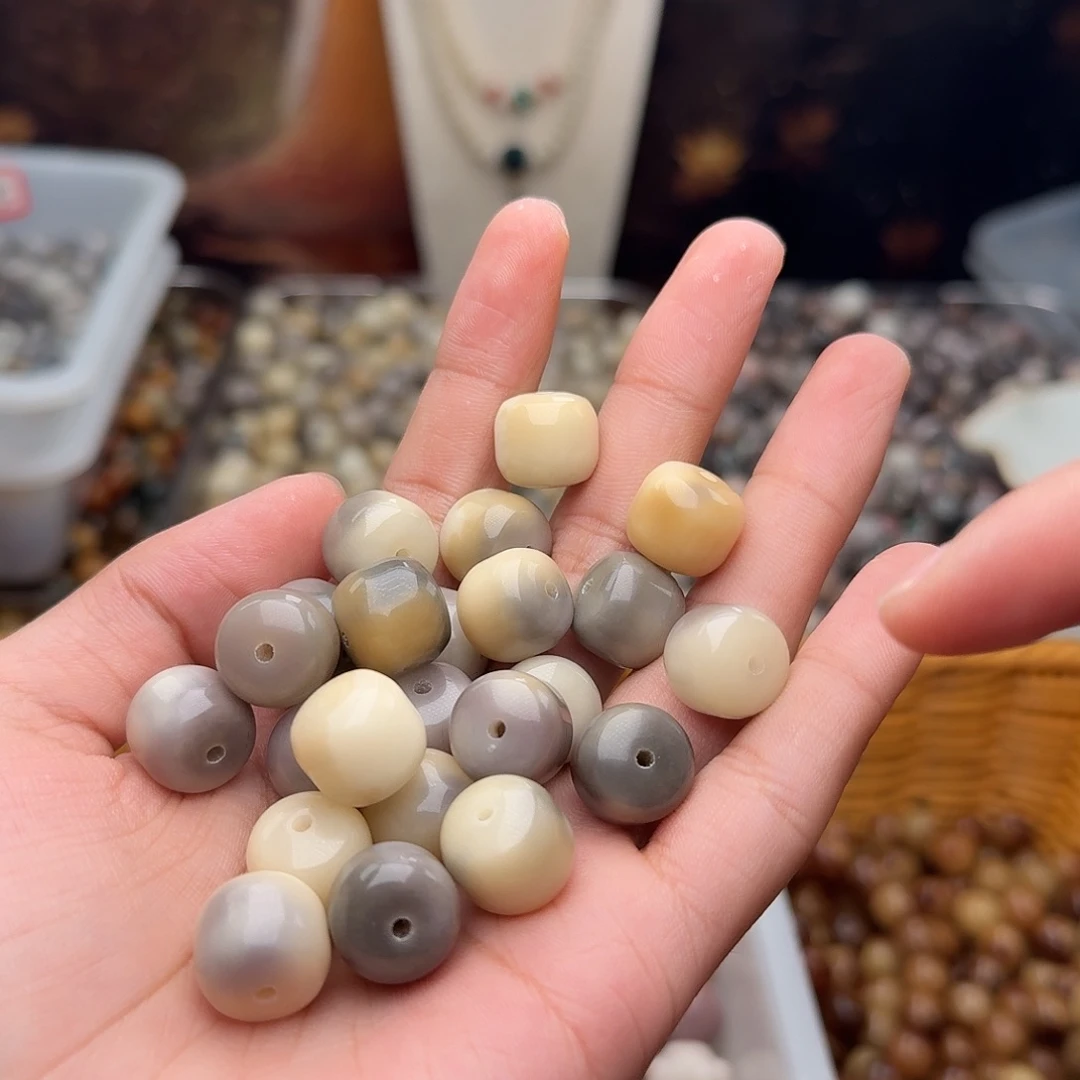 吊坠菩提根/象牙果20颗柏林干磨14汉堡