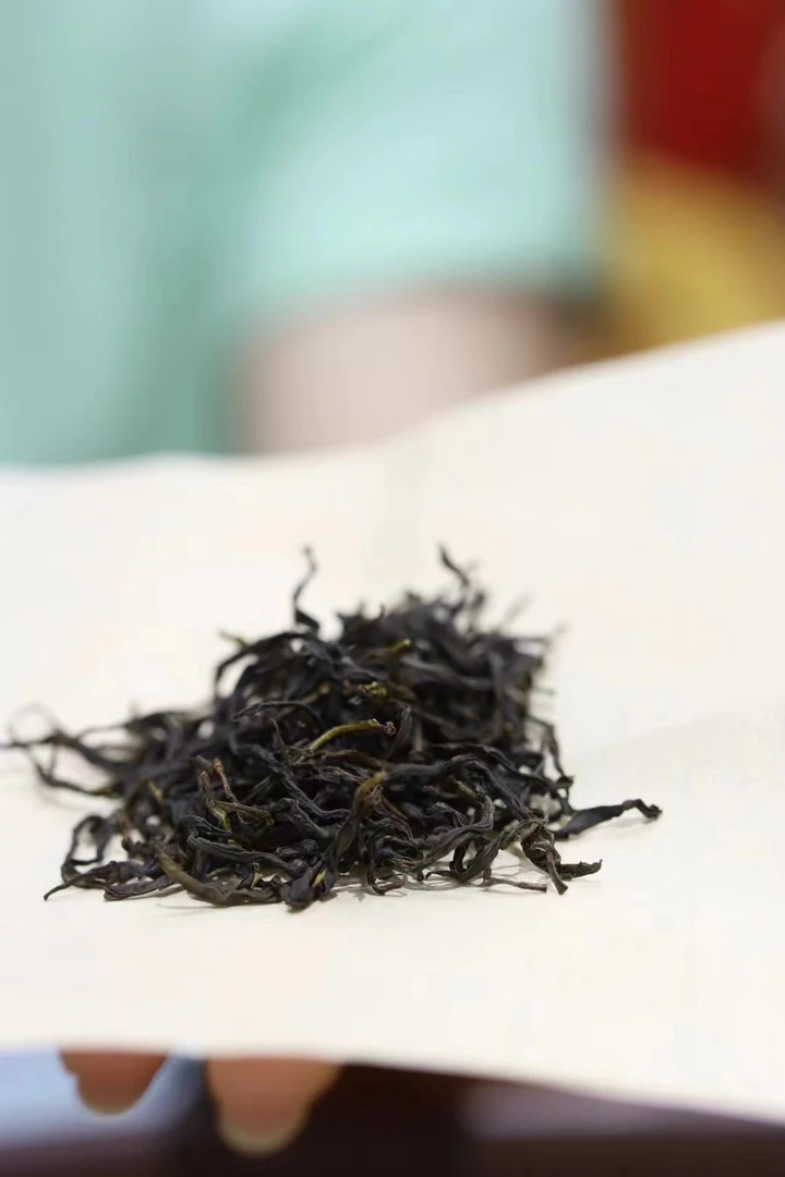 评比级｜24年隔年春乌岽东方红碳焙高山凤凰单丛茶