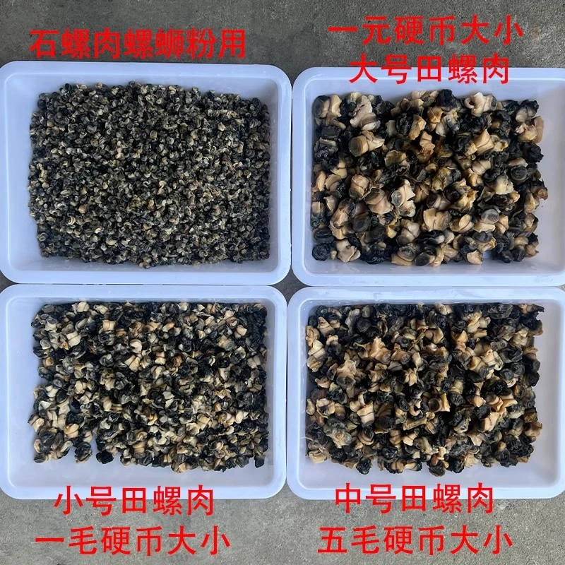 湖北新鲜石螺田螺肉现挑螺丝肉螺蛳粉熬汤炒螺蛳炒田螺真空包装