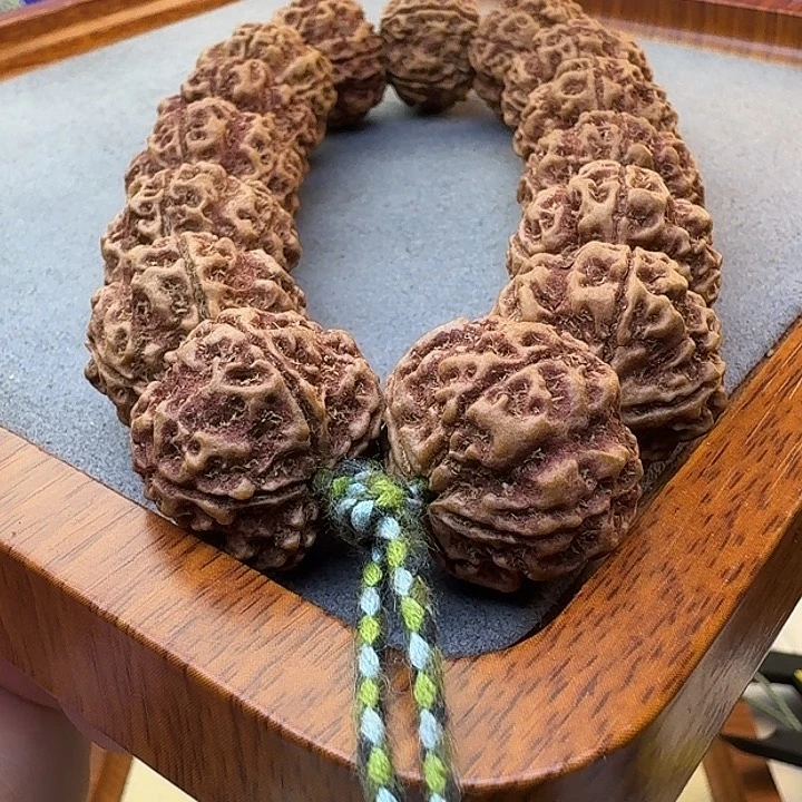 金刚菩提手串梁大金刚