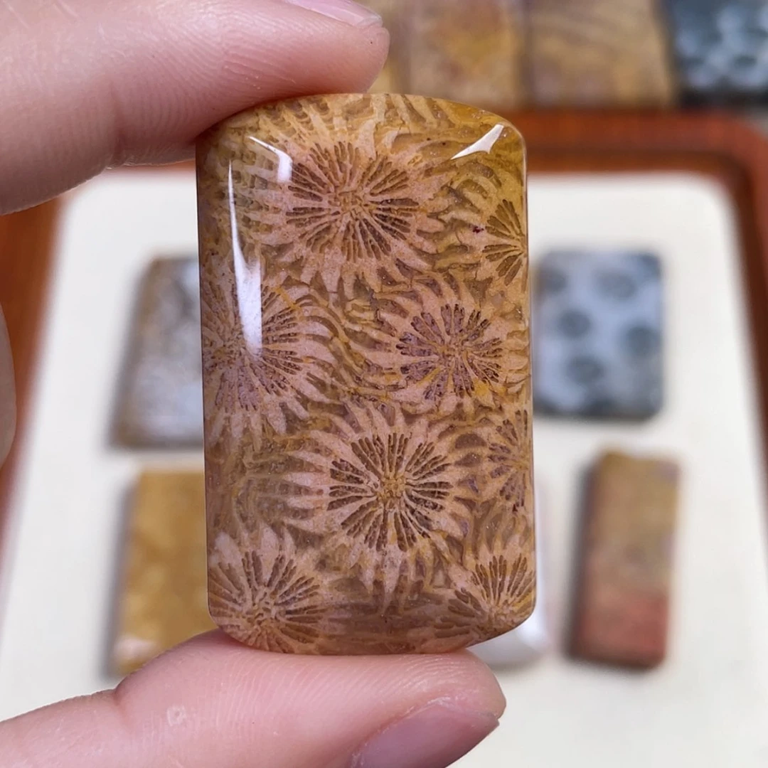 【闪购商品】硅化玉手串未镶嵌昨****天