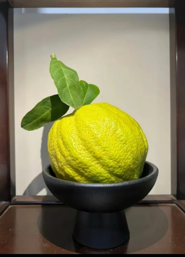 云南高山香橼鲜果  可食用可观赏可闻香