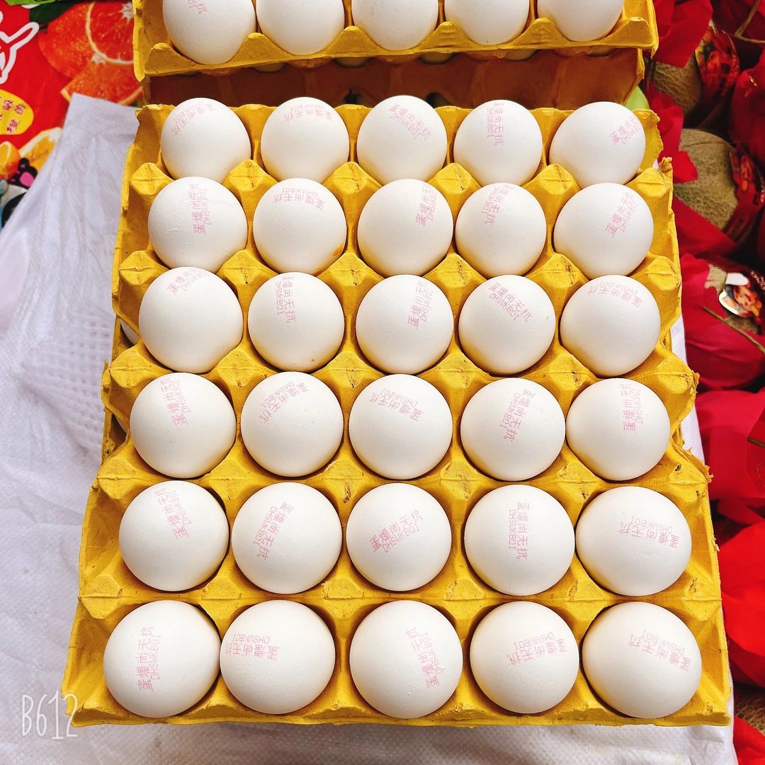 谷粮白鸡蛋30枚整盘
