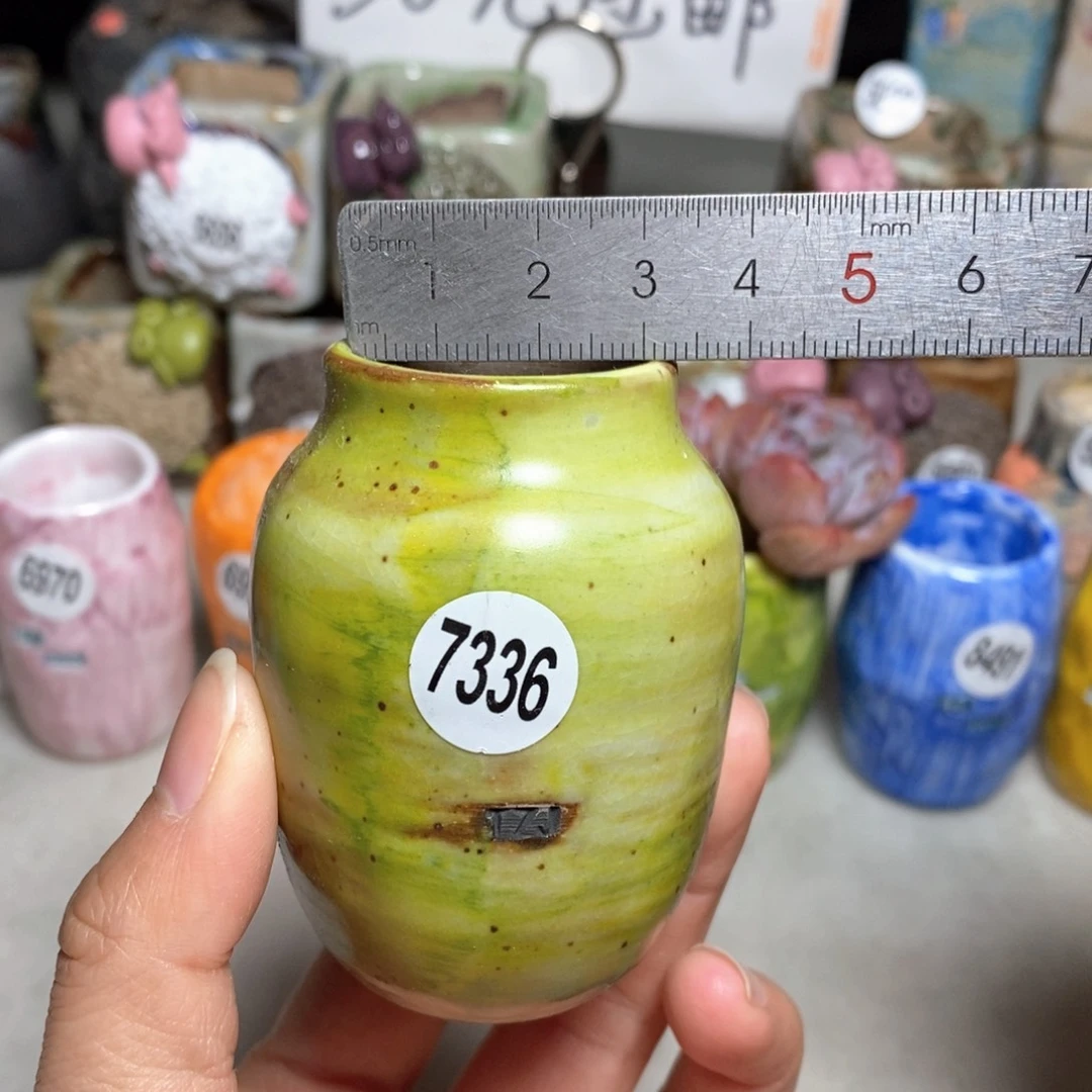 拍5送一个小礼物